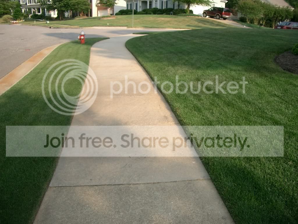 Pictures Of Kentucky Bluegrass Lawns