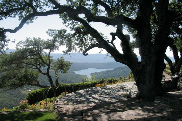 Prettiest Wineries In Napa