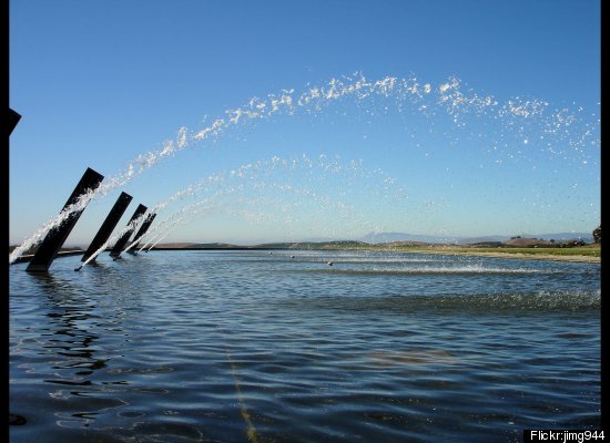 Prettiest Wineries In Napa