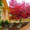 Privacy Trees For Small Spaces