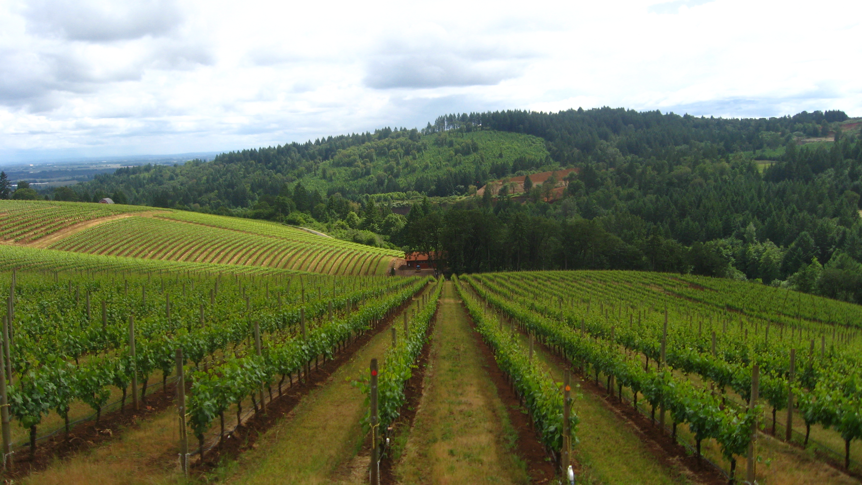 Wineries