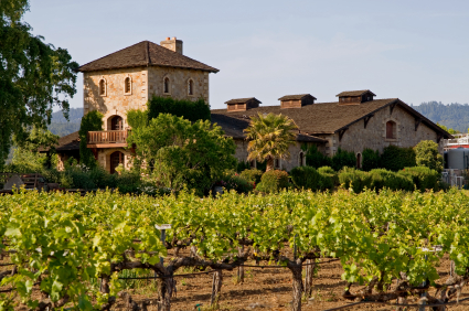 Wineries In France