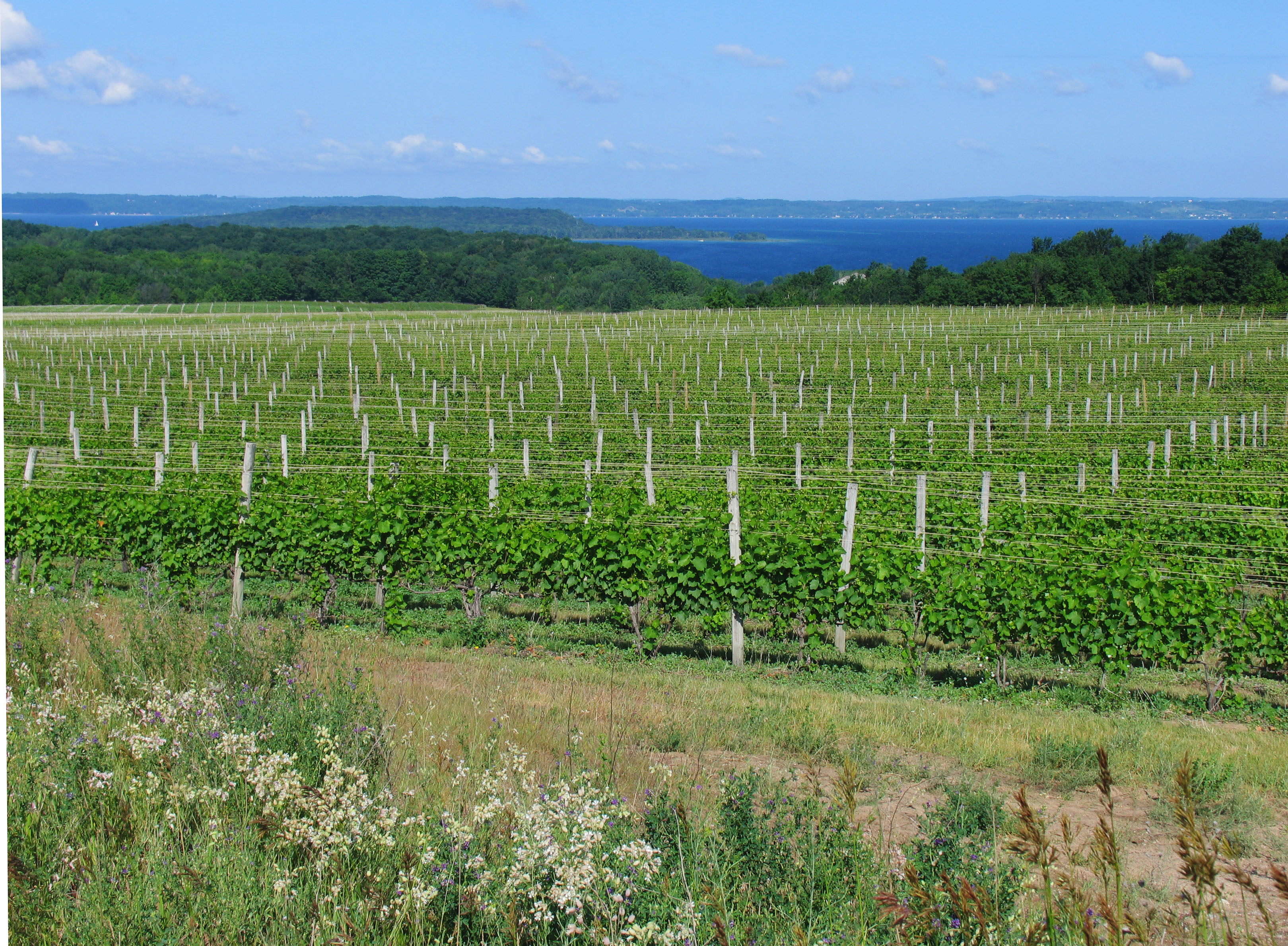 Wineries In Michigan
