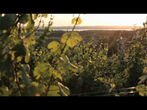 Wineries In Michigan Map