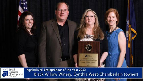 Wineries In Niagara County Ny