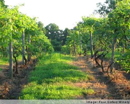 Wineries In Nj