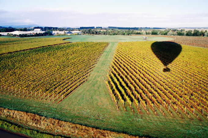 Wineries Yarra Valley
